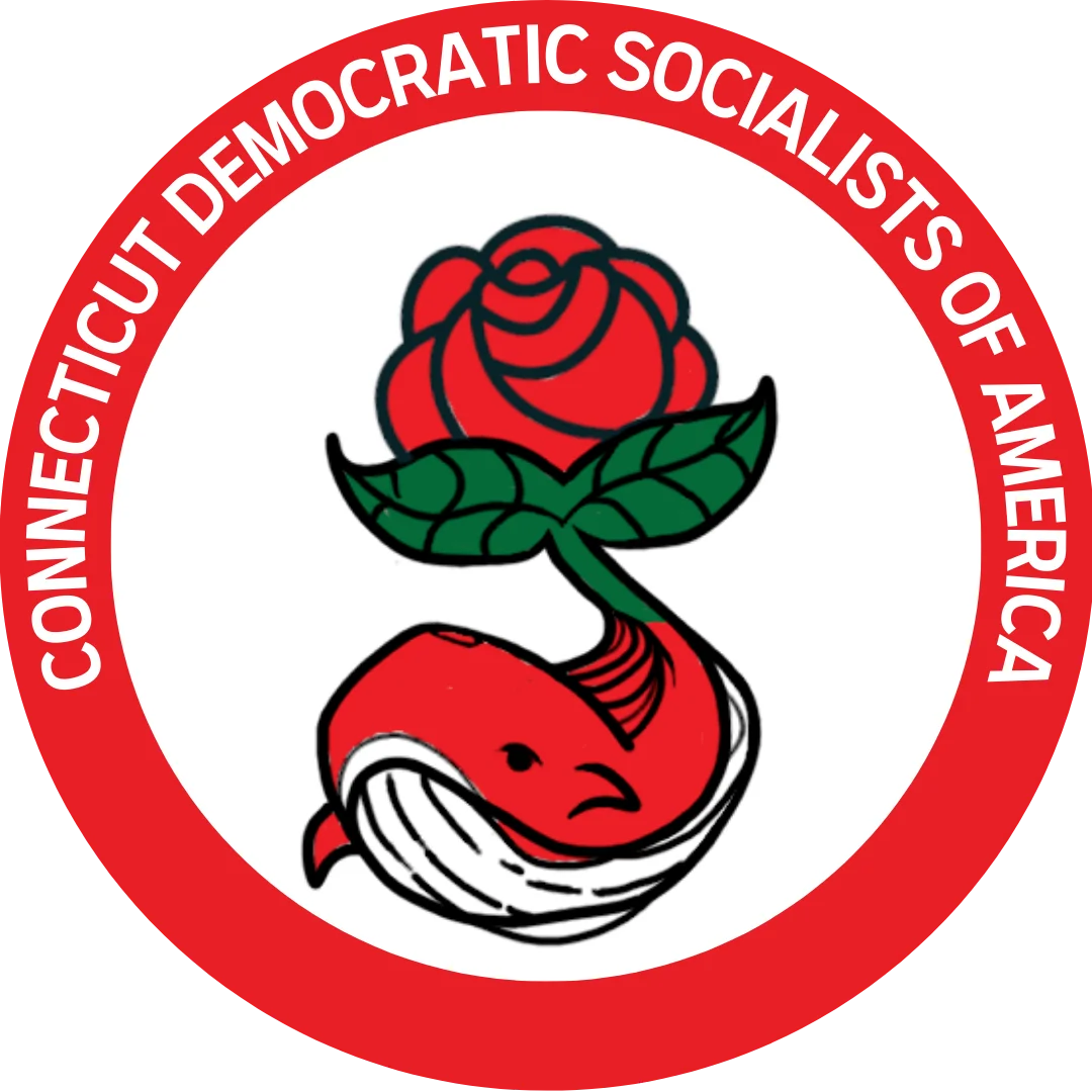 the logo of Connecticut DSA