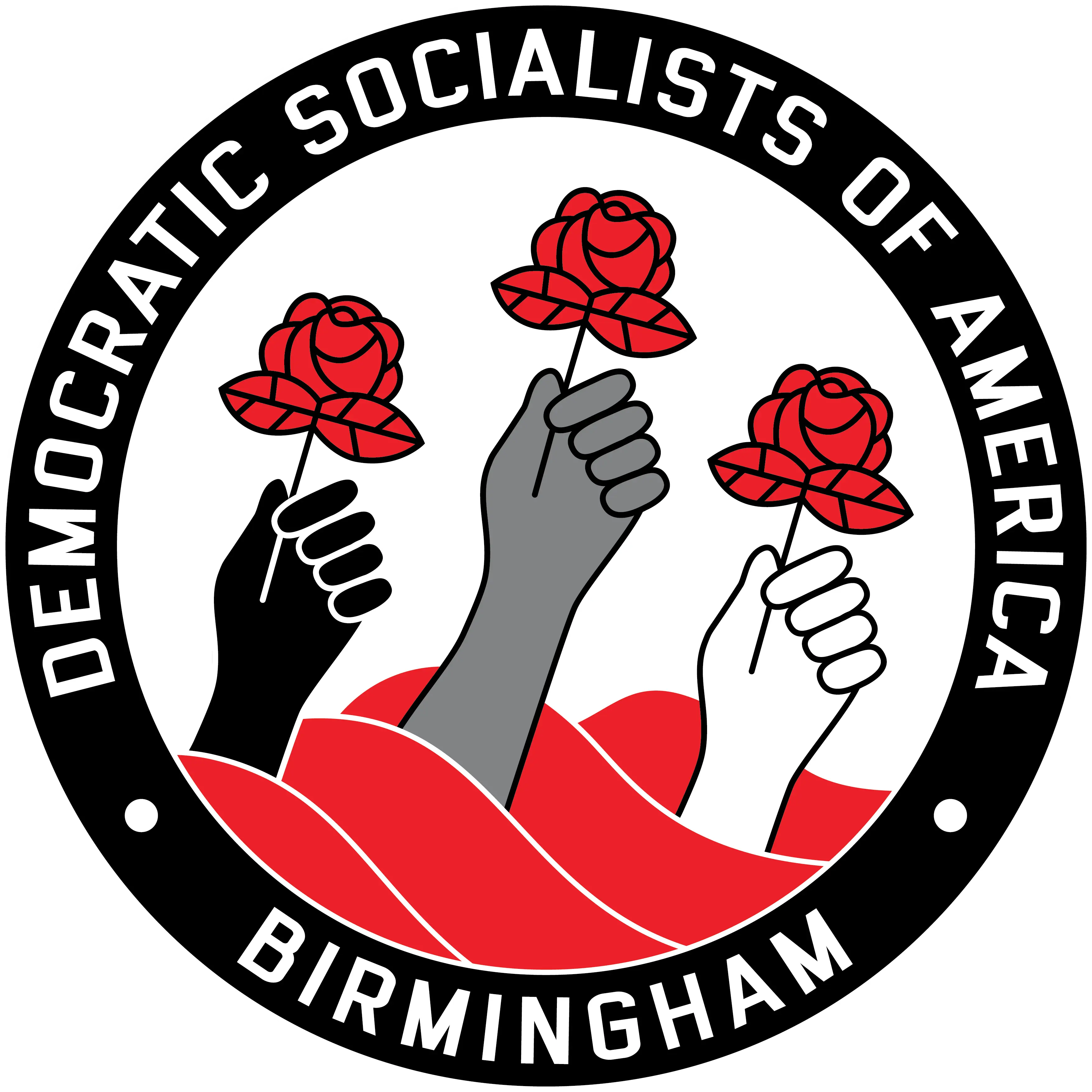 the logo of Birmingham DSA