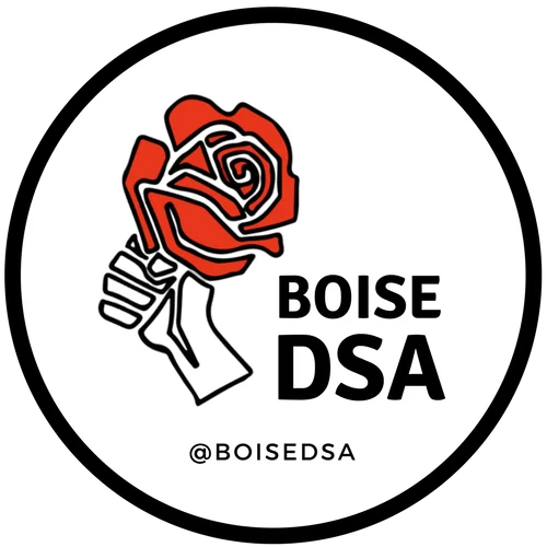 the logo of Boise DSA