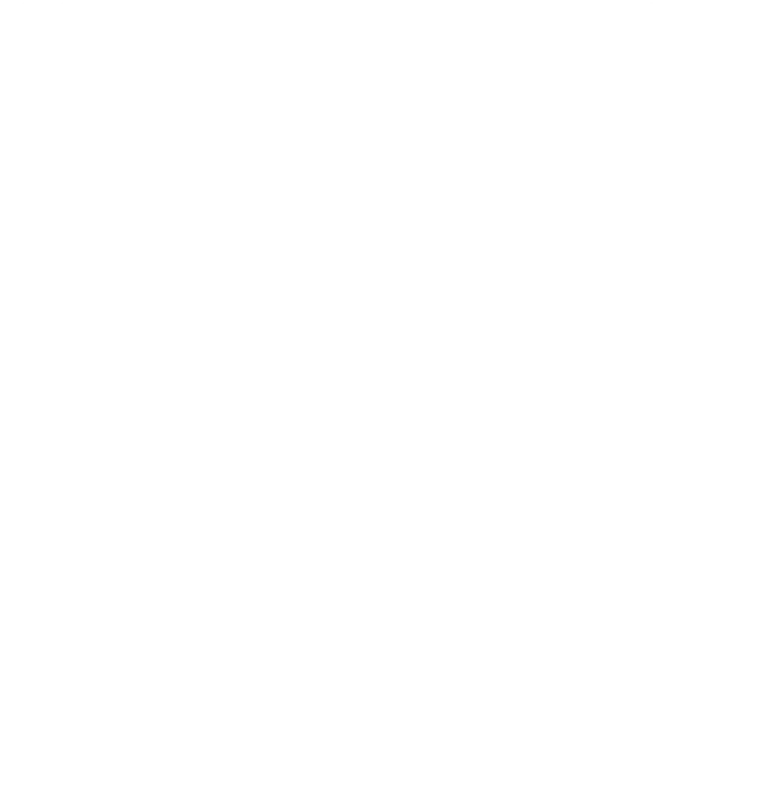 the logo of Ithaca DSA