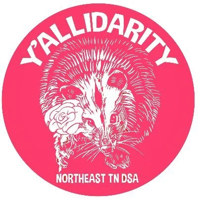 the logo of Northeast Tennessee DSA