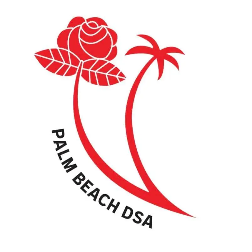 the logo of Palm Beach County DSA