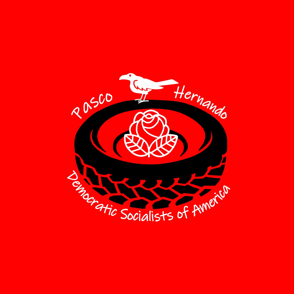 the logo of Pasco-Hernando DSA