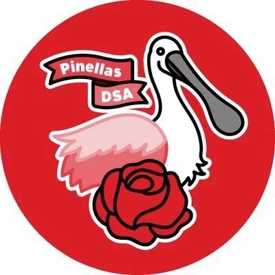 the logo of Pinellas DSA