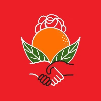 the logo of Polk County DSA