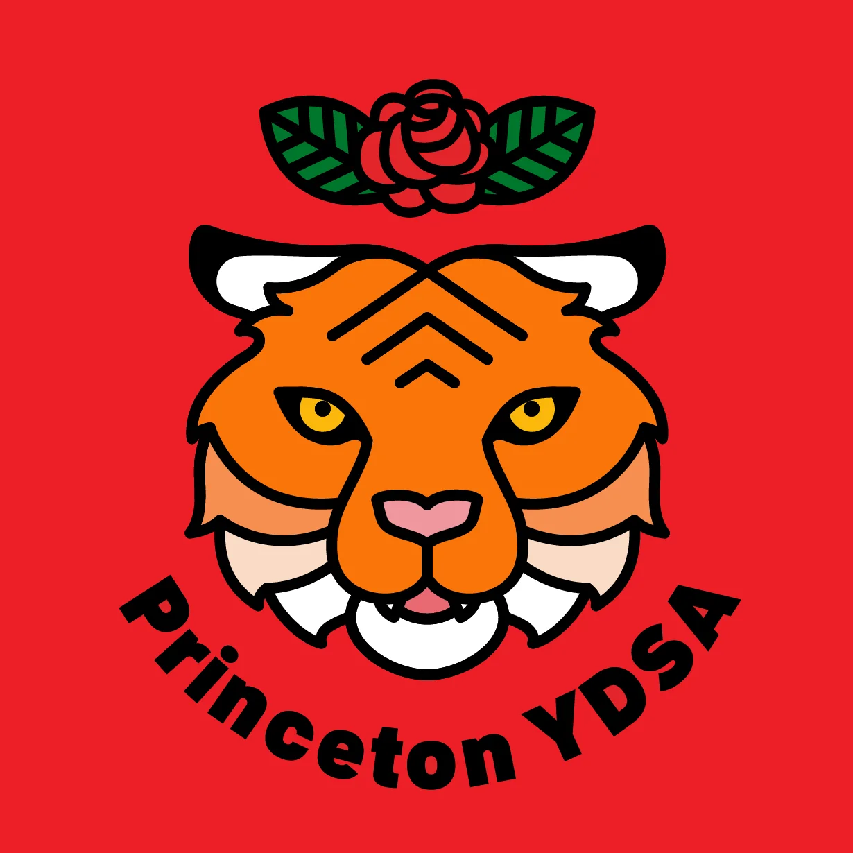 the logo of Princeton YDSA