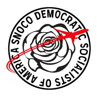 the logo of Snohomish County DSA