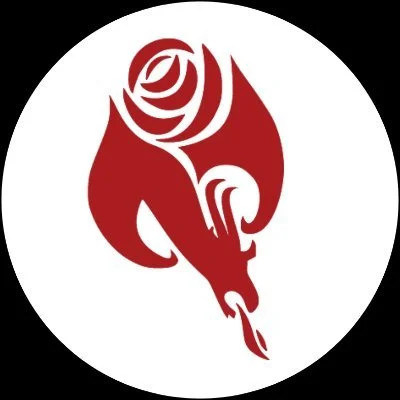 the logo of South New Jersey DSA