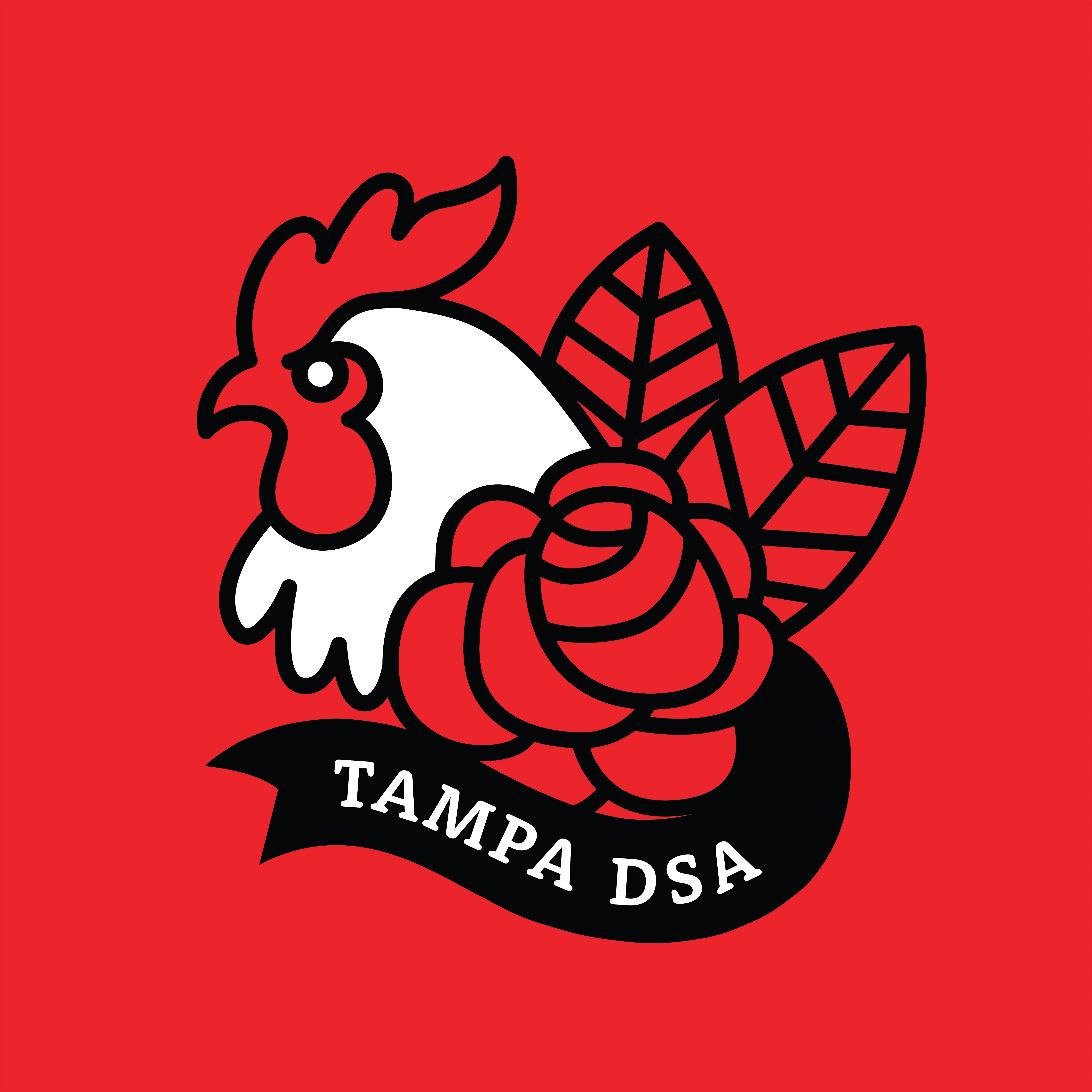 the logo of Tampa DSA