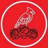 the logo of Triangle North Carolina DSA