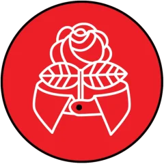 the logo of Troy DSA