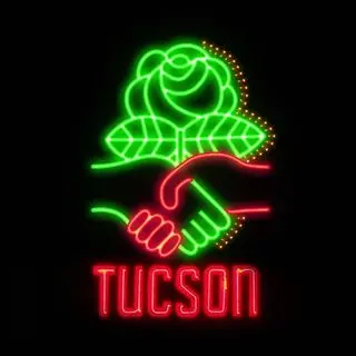 the logo of Tucson DSA