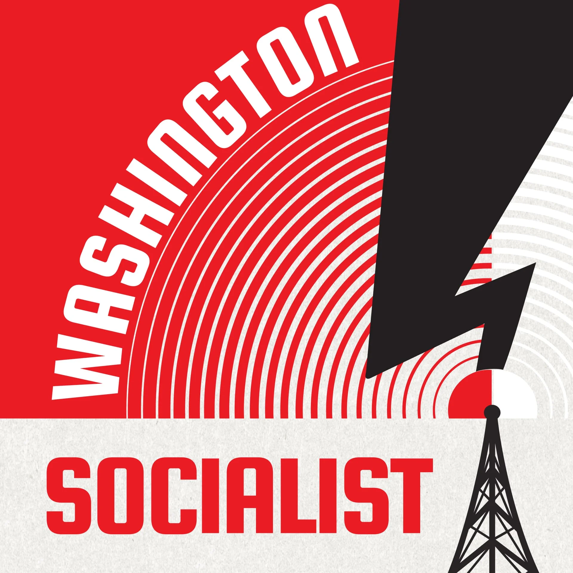 the logo of Washington Socialist - Metro DC DSA
